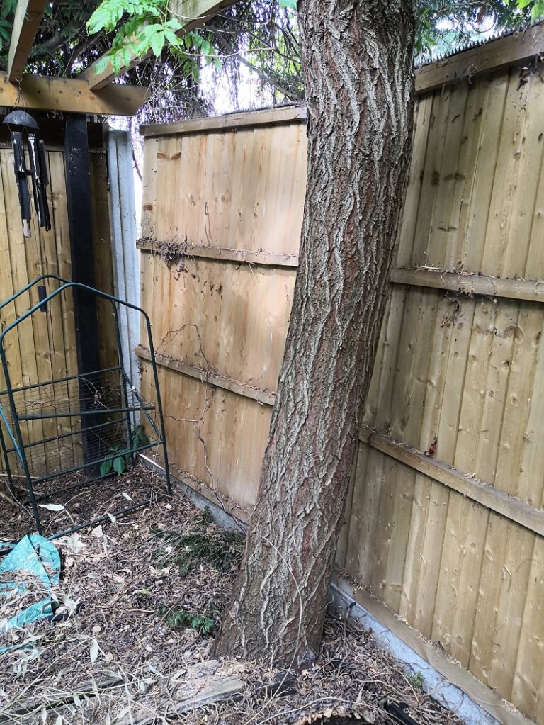 3 Tips For A Longer Lasting Fence Pecos Fence